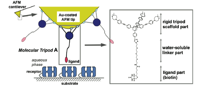 Publications Yamakoshi Research Group Eth Zurich