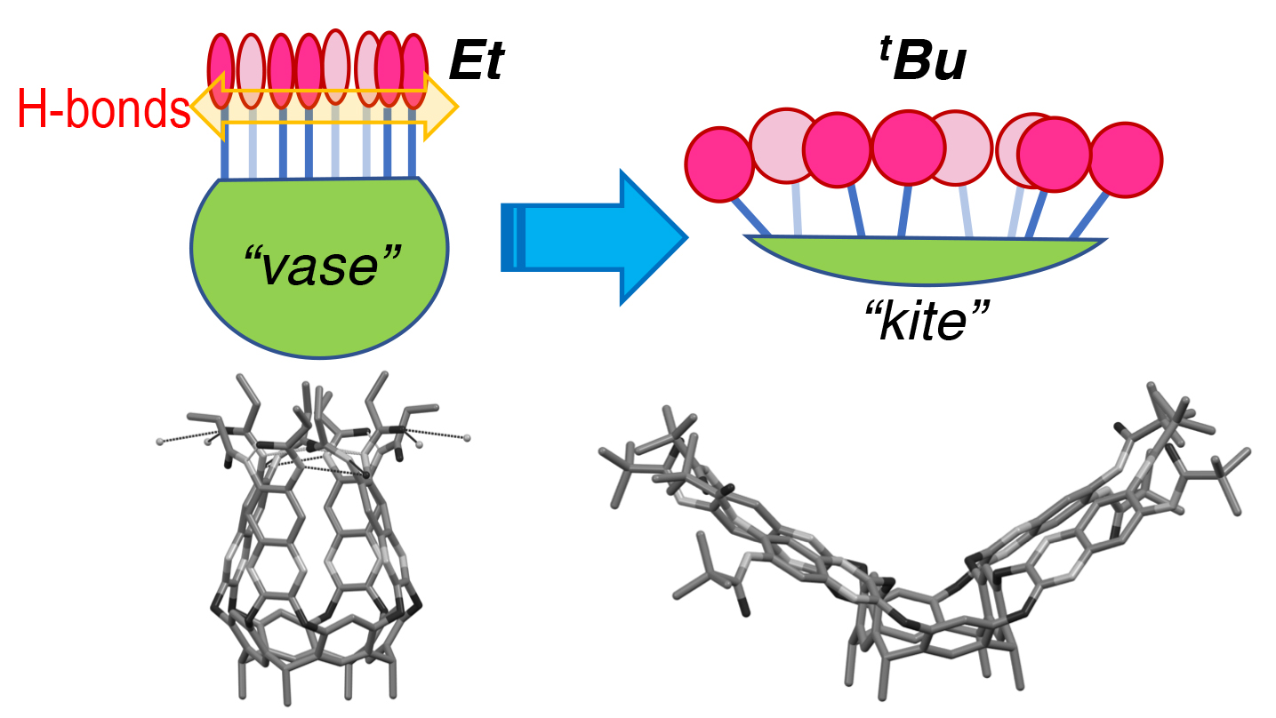 Enlarged view:  amide cavitand