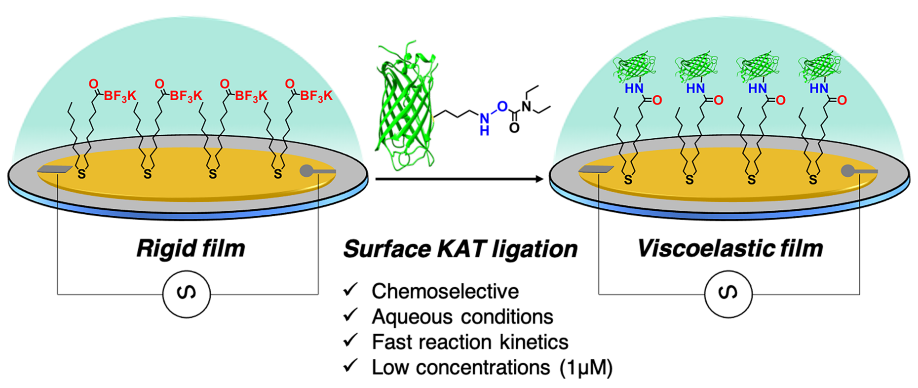 Enlarged view: TOC surface KAT